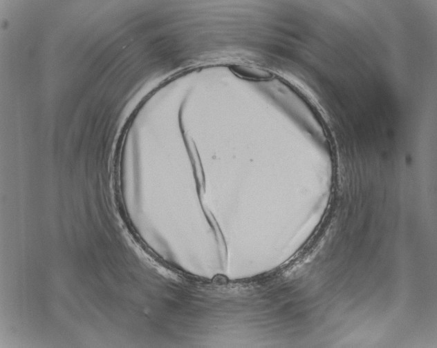 X0000067900949200605111914