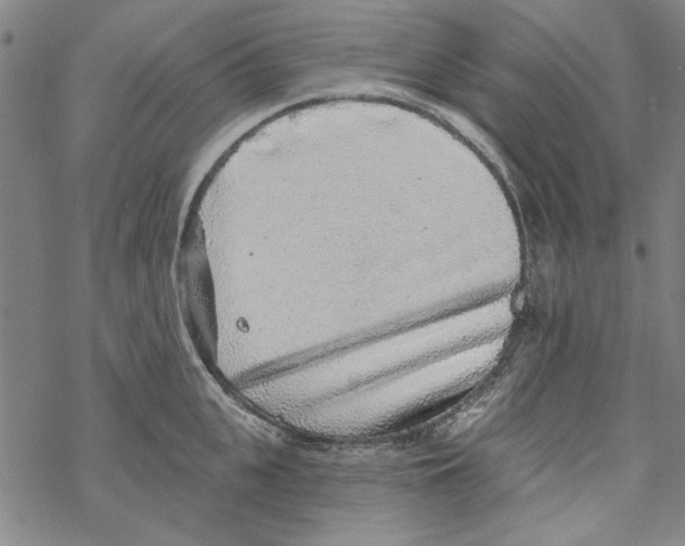 X0000067900951200605111914