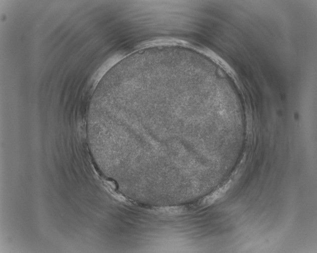 X0000067900953200605111914