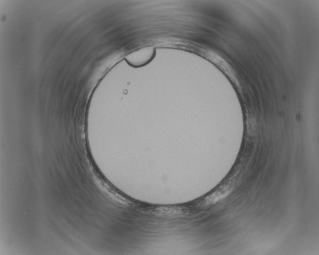 X0000067900954200605111914