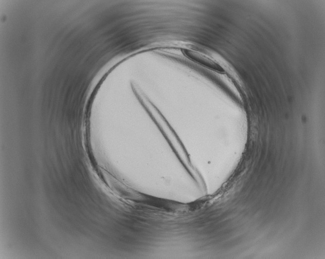 X0000067900955200605111914