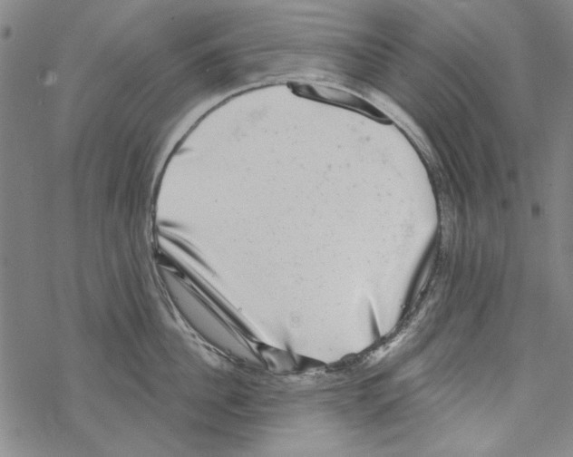 X0000067900956200605111914