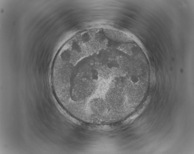 X0000067900957200605111914