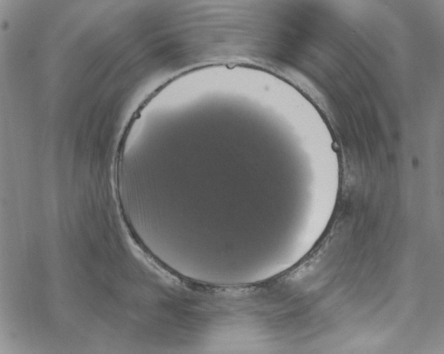 X0000067900958200605111914