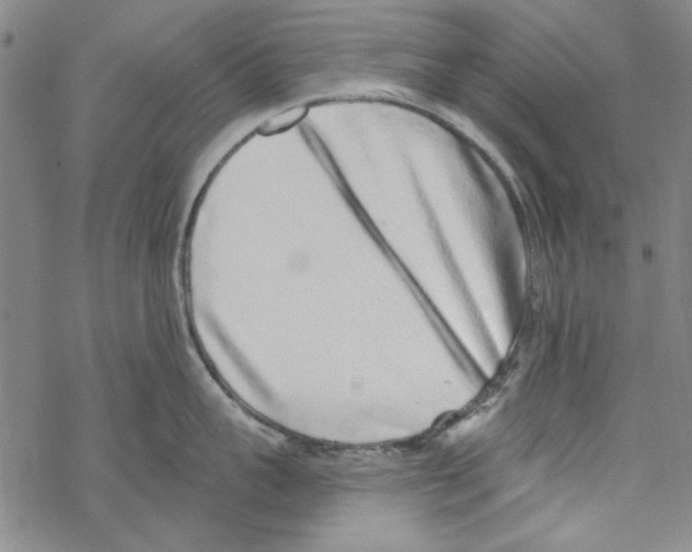 X0000067900959200605111914