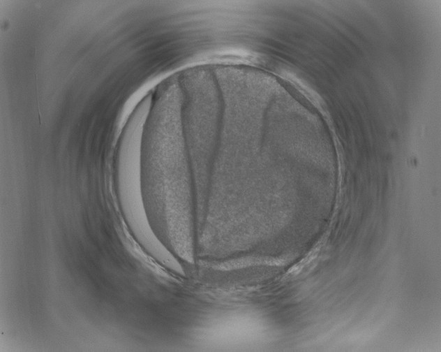 X0000067900960200605111914