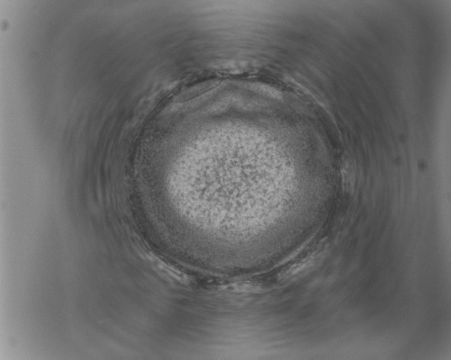 X0000067900961200605111913