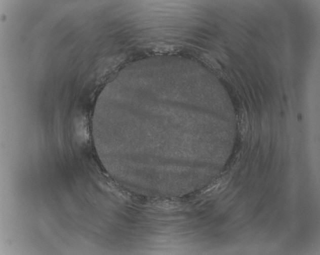 X0000067900962200605111913