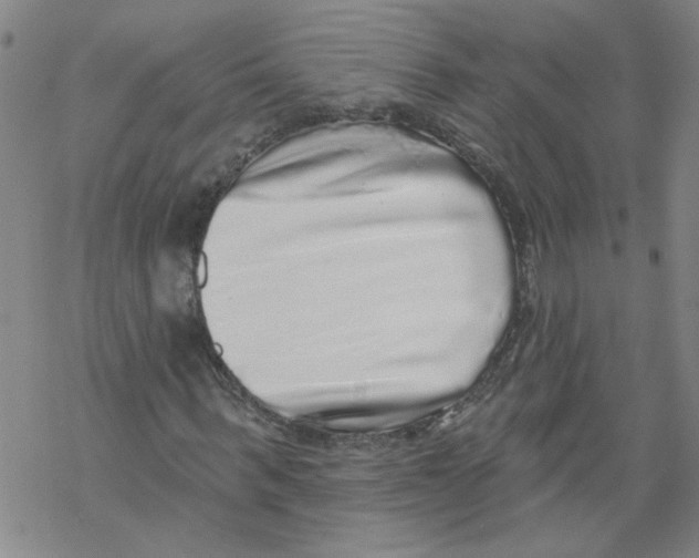 X0000067900963200605111913