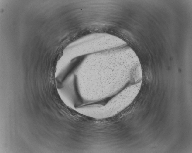 X0000067900964200605111913