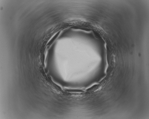 X0000067900965200605111913