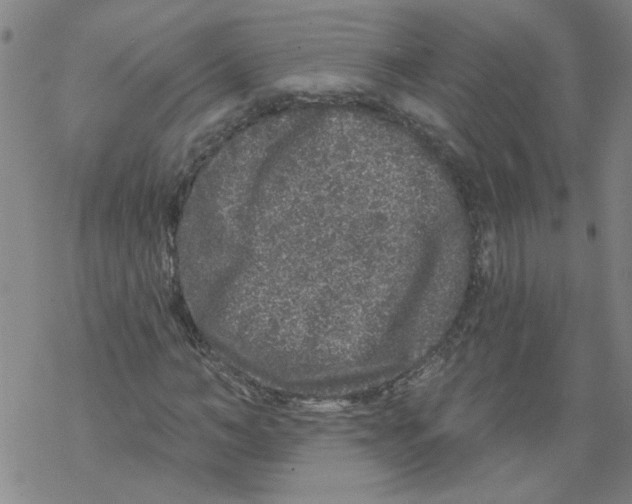 X0000067900966200605111913