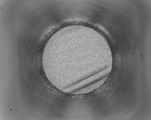 X0000067900967200605111913