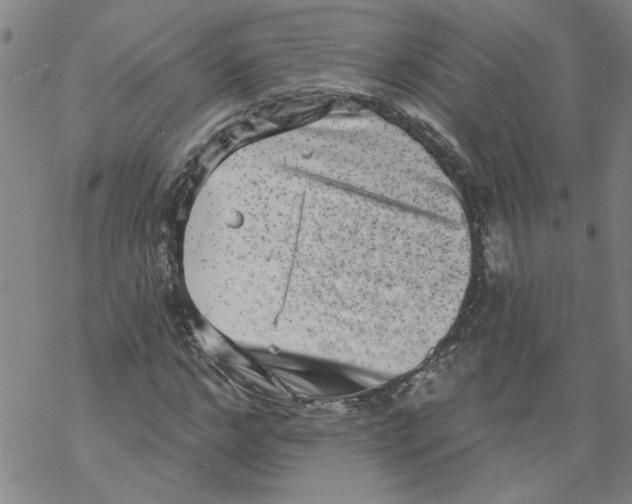 X0000067900968200605111913