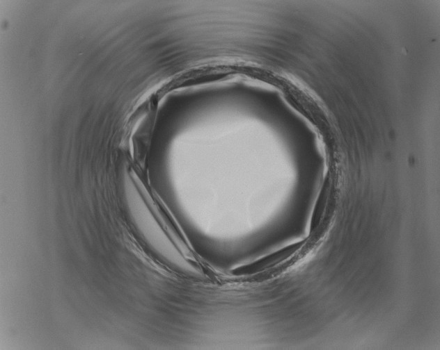 X0000067900969200605111913