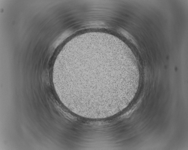 X0000067900970200605111913