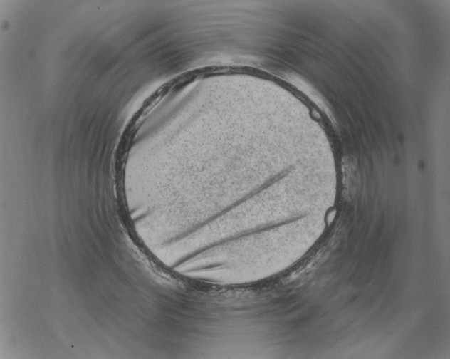 X0000067900972200605111913