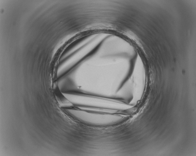 X0000067900973200605111913