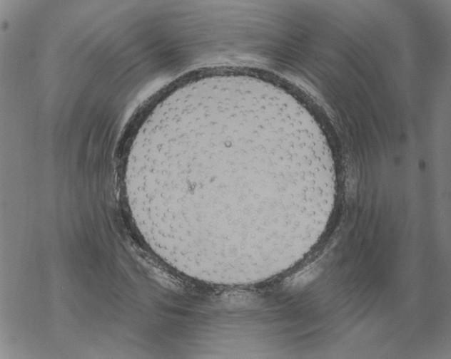 X0000067900974200605111913