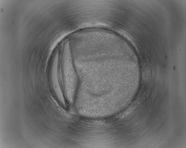 X0000067900975200605111913