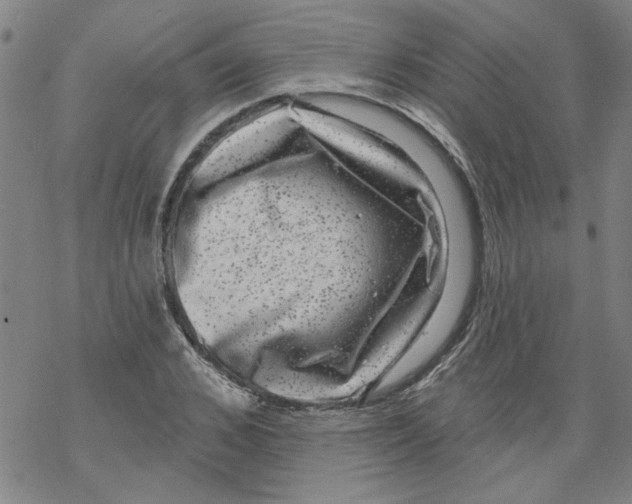 X0000067900976200605111913