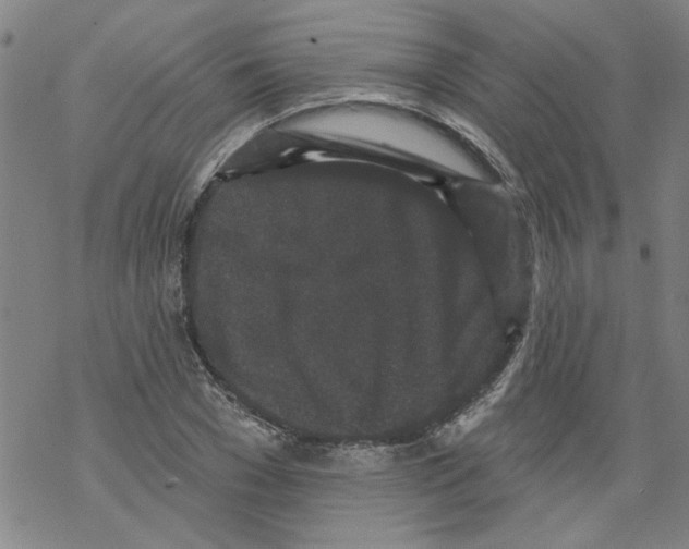 X0000067900977200605111913