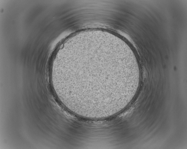 X0000067900979200605111913