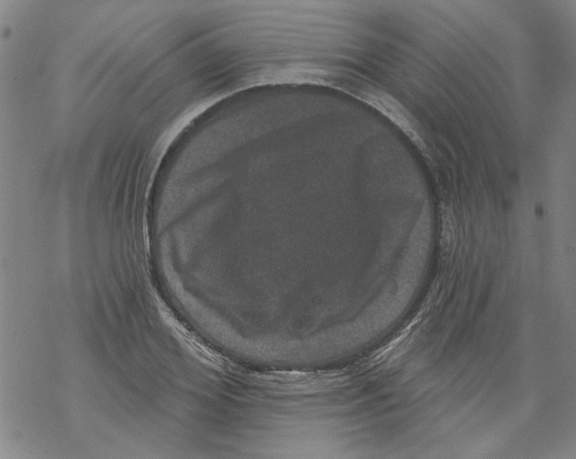 X0000067900980200605111913