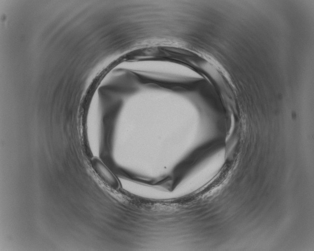 X0000067900981200605111913