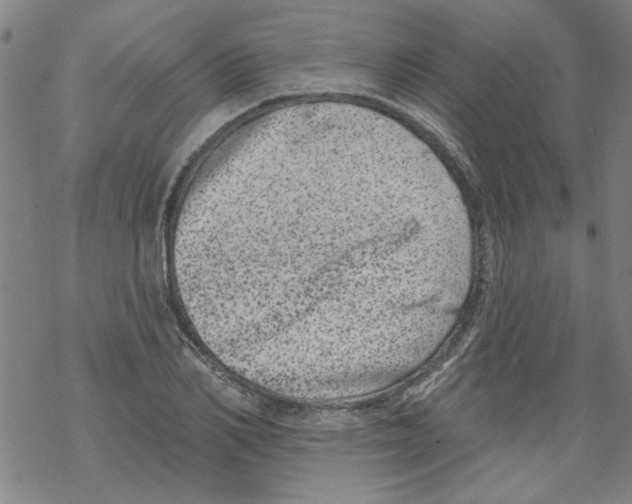 X0000067900982200605111913