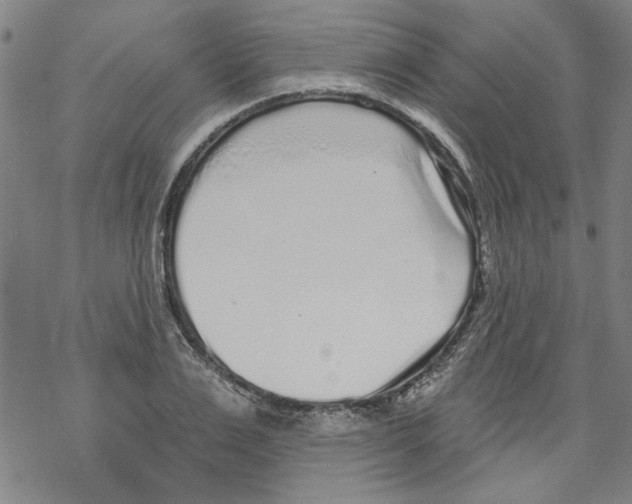 X0000067900983200605111913