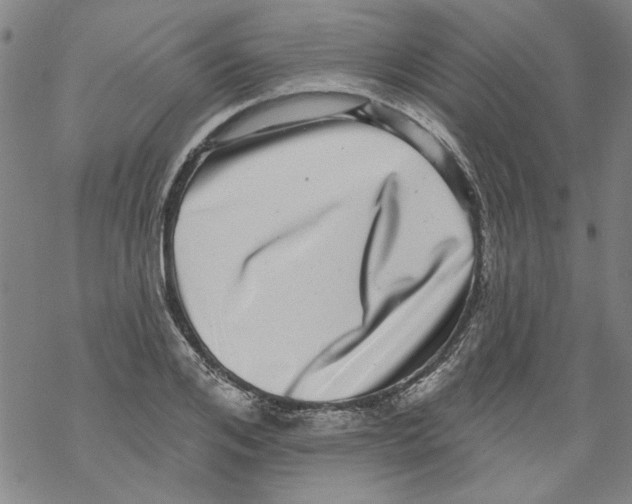 X0000067900984200605111913