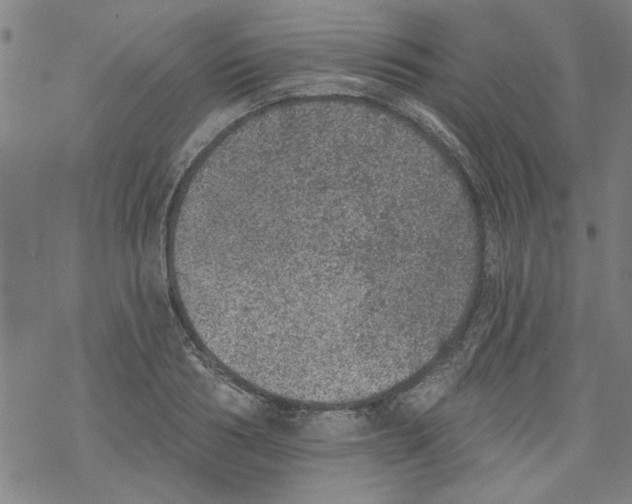 X0000067900986200605111913