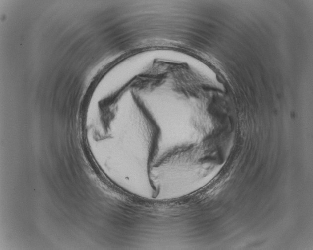 X0000067900987200605111913