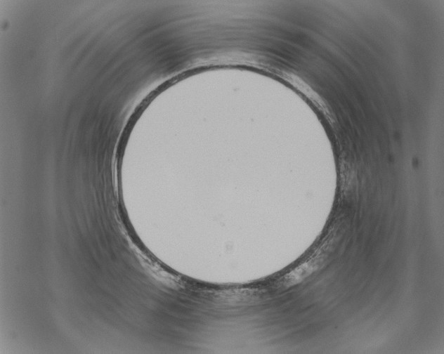 X0000067900988200605111912