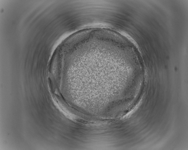 X0000067900989200605111912