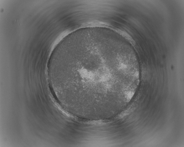 X0000067900990200605111912