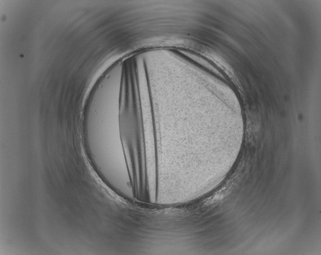 X0000067900992200605111912