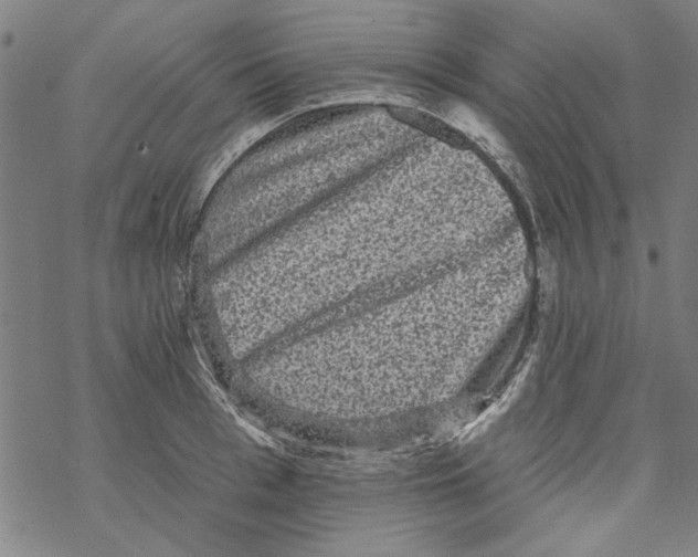 X0000067900993200605111912