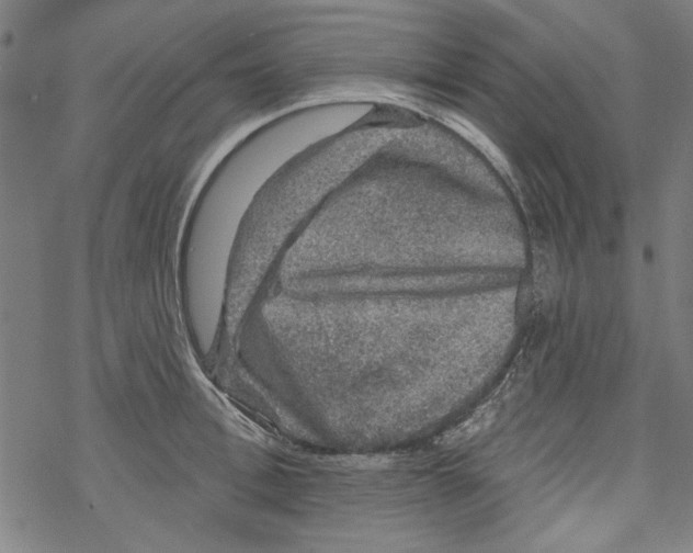 X0000067900996200605111912