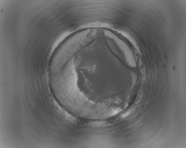 X0000067900998200605111912