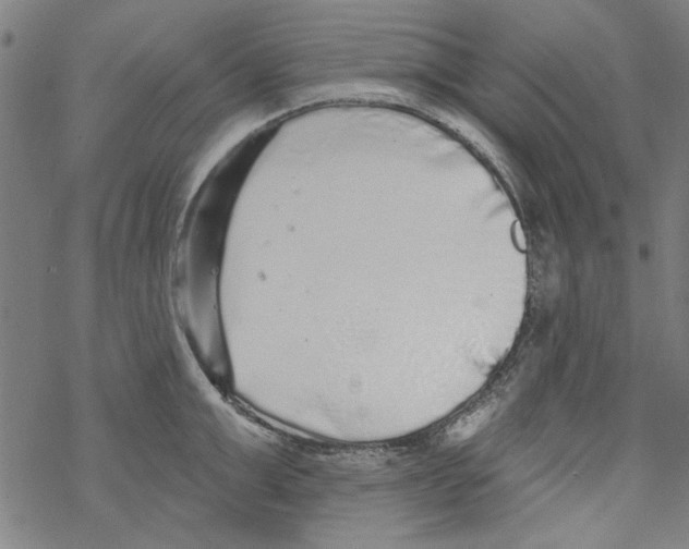 X0000067900999200605111912