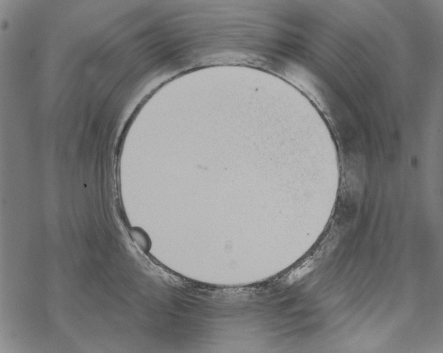 X0000067901000200605111912