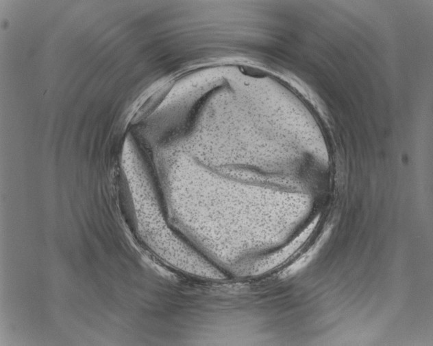 X0000067901001200605111912