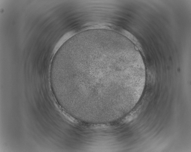 X0000067901002200605111912