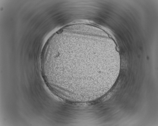 X0000067901003200605111912