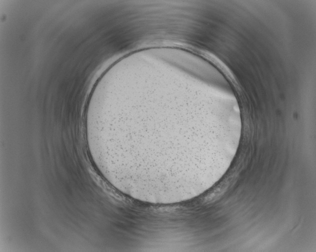 X0000067901004200605111912