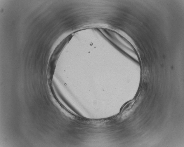 X0000067901005200605111912