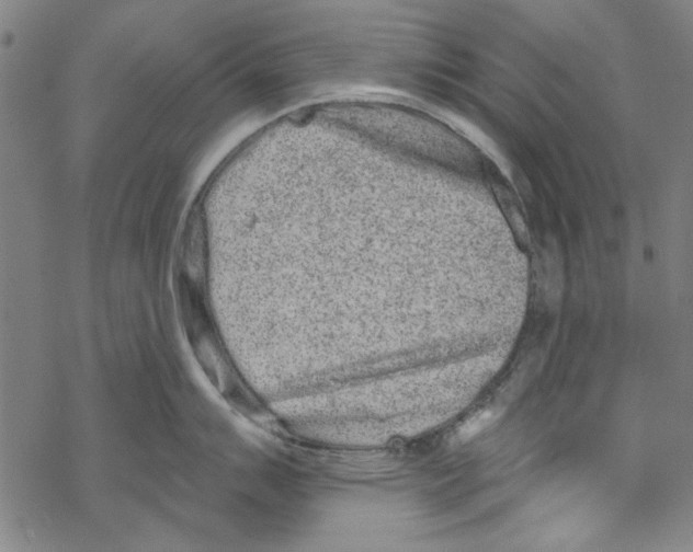 X0000067901007200605111912