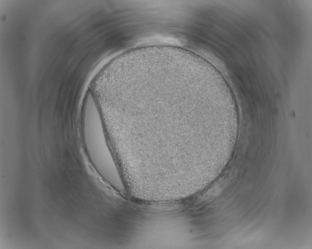 X0000067901008200605111912